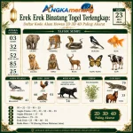 angkamenang.com