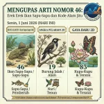 angkamenang.com